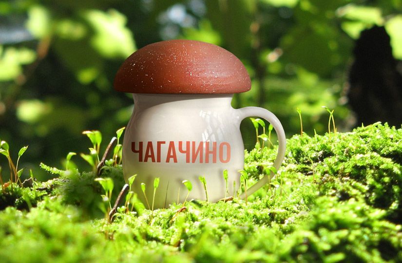 Chaga instead of coffee