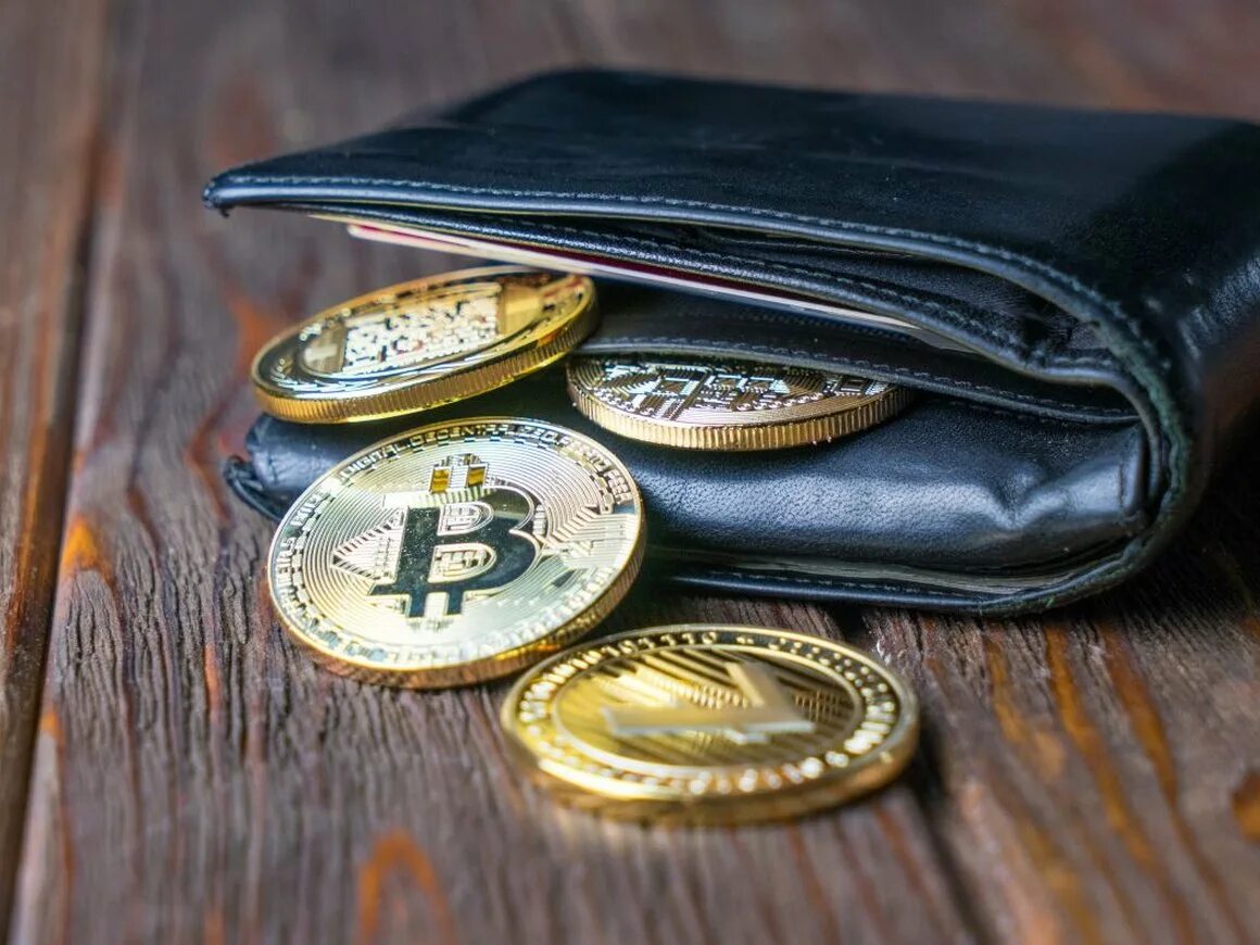 Crypto Wallet: Why You Need It and How to Create One